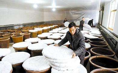 釀造食醋奔富路，食品銷售創輝煌——傳統技藝與現代市場的完美融合